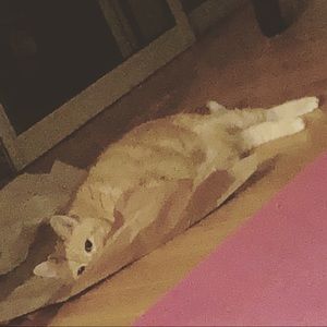 Meet your Posher, Tatiana